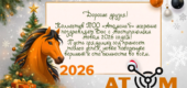 С наступающим 2026 годом!