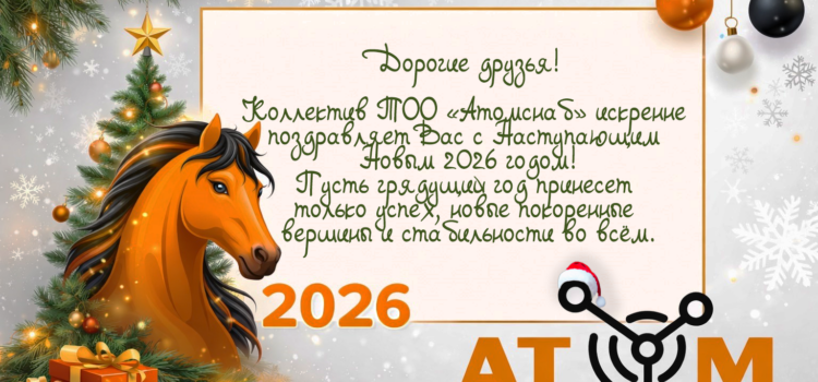 С наступающим 2026 годом!